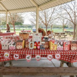 A picnic table with many books and cards on it