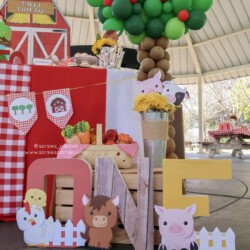 A birthday party with balloons and decorations