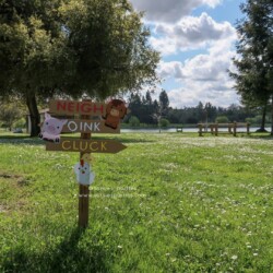 A sign in the grass near some trees