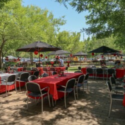 A group of tables and chairs in the middle of a park.