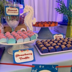 A table with several different types of desserts.