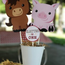 A birthday party with a horse and pig theme