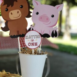 A birthday party with a horse and pig theme