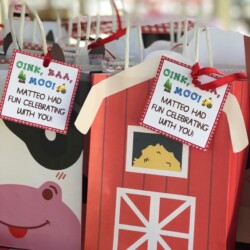 A close up of some bags with birthday cards