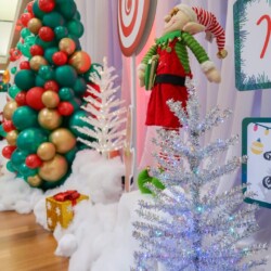 A room with several different types of christmas trees.