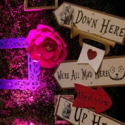 A bunch of signs that are on the ground