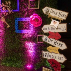 A wall with signs and lights on it