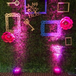 A photo of some frames and lights on the wall.