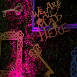 A room with some kind of neon sign