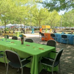 A table with chairs and tables in the background.