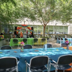 A table with chairs and tables in the background.