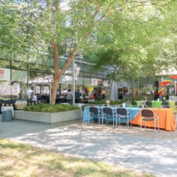 A group of people sitting at tables outside.