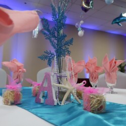 A table set up with pink and blue decorations.