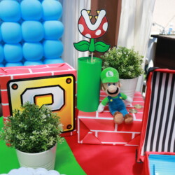 A mario themed party with decorations and plants.