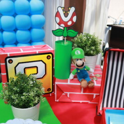 A mario themed party with decorations and plants.