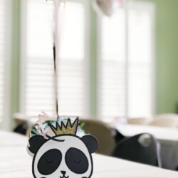 A panda bear with a crown on it's head.