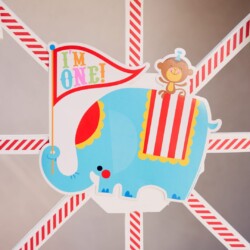 A close up of an elephant with a monkey on it